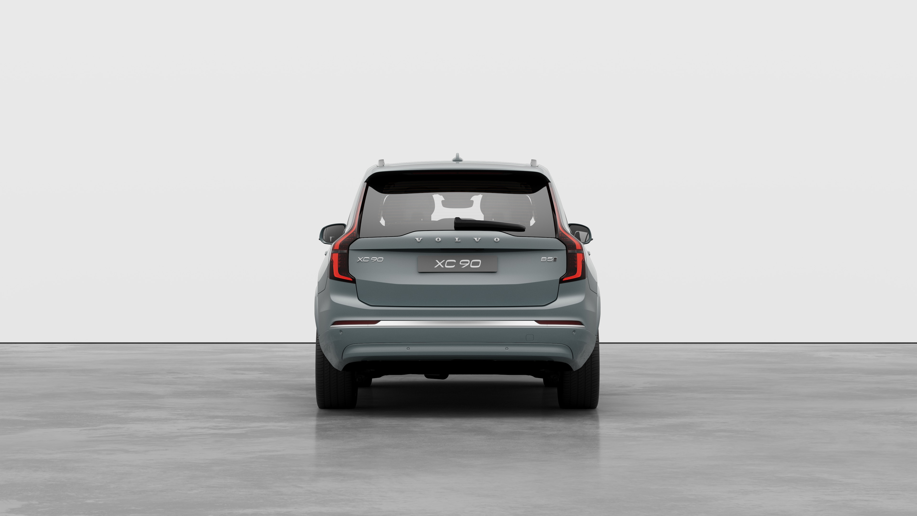 Вид сзади на однотонный студийный фон.