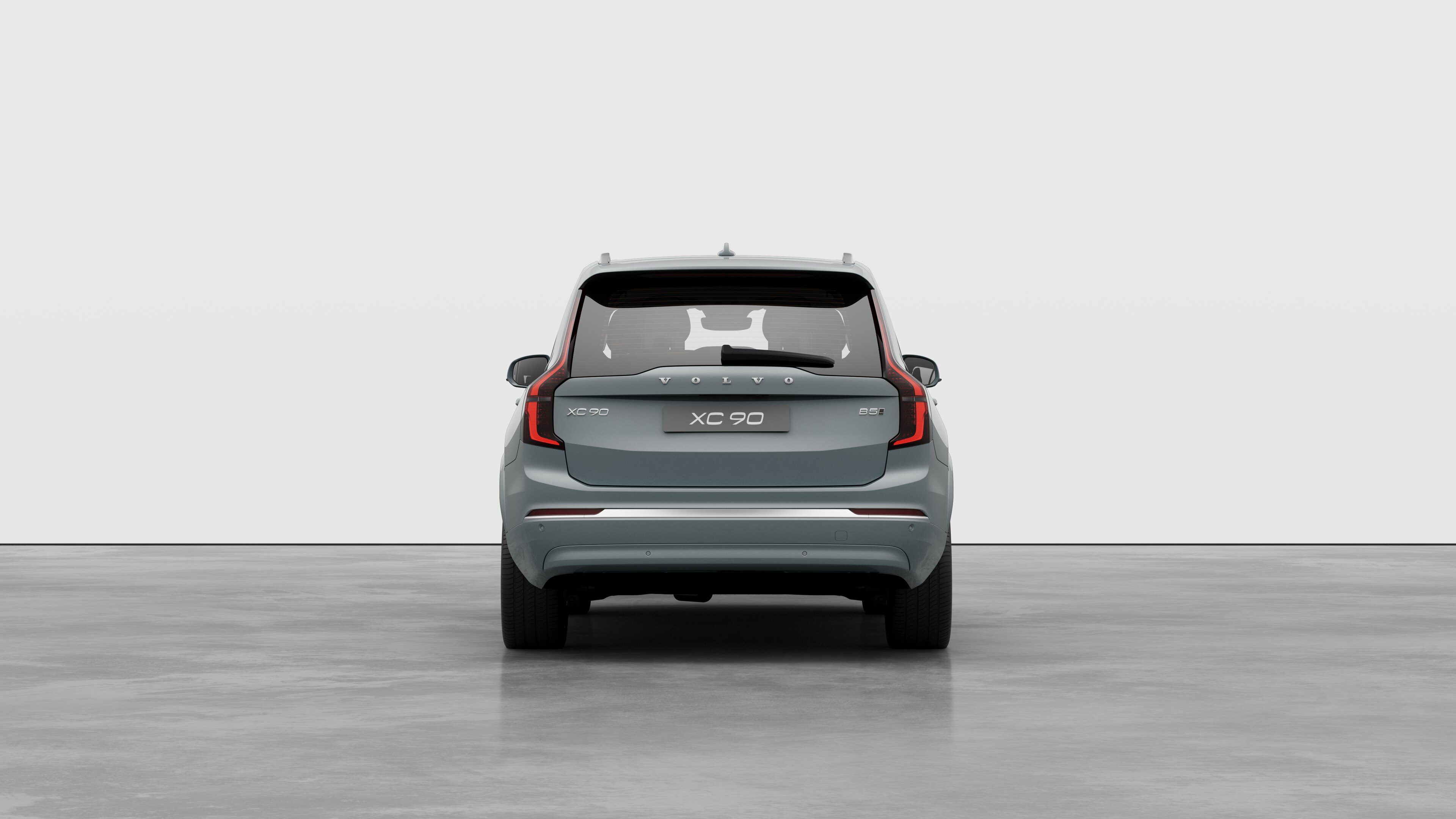 Вид сзади на однотонный студийный фон.